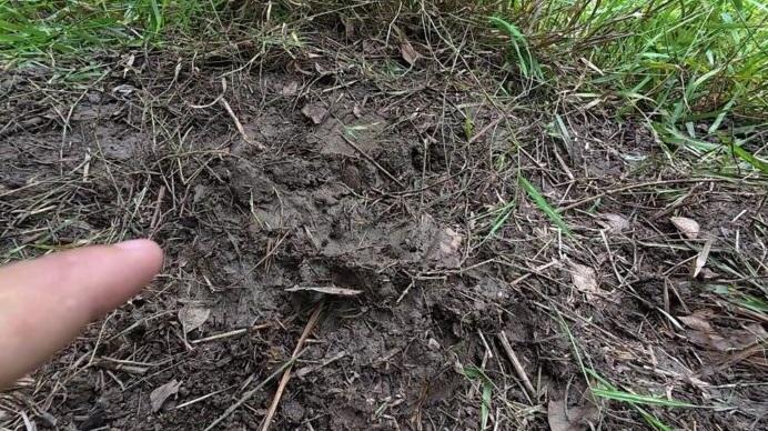 男子挖土坑埋葬愛犬後,疑身體不適、體力不支倒地。(互聯網)