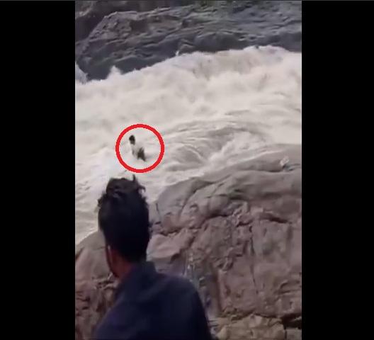 山洪洶湧,圖杜在岩石站不穩。(互聯網)