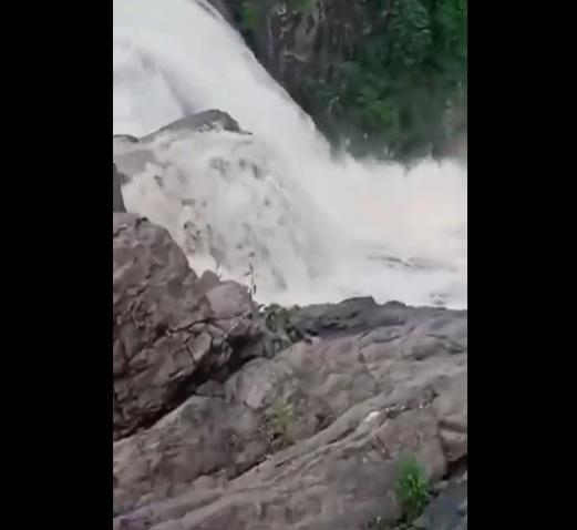 圖杜不見蹤影。(互聯網)