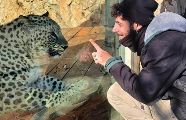 努里生前負責照顧野豹,估不到被野豹襲擊致死。(互聯網)