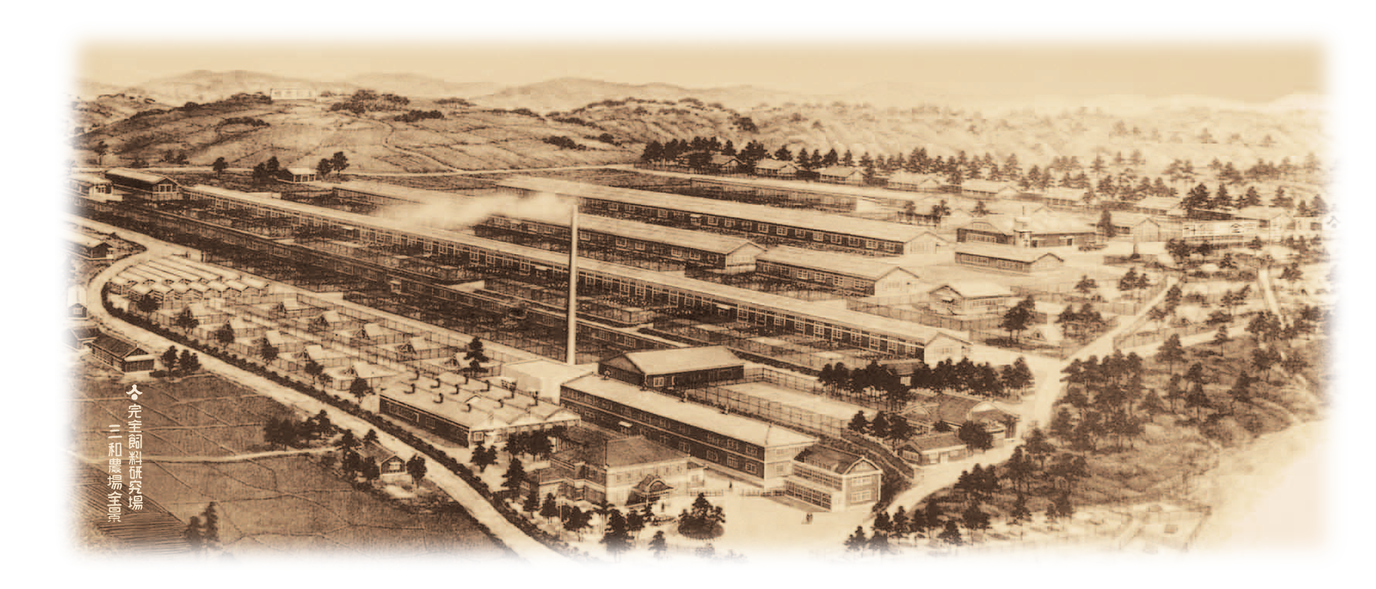 品牌創立於1900年(明治三十三年),同年在日本愛知縣建設三和農場,飼養名古屋交趾雞。