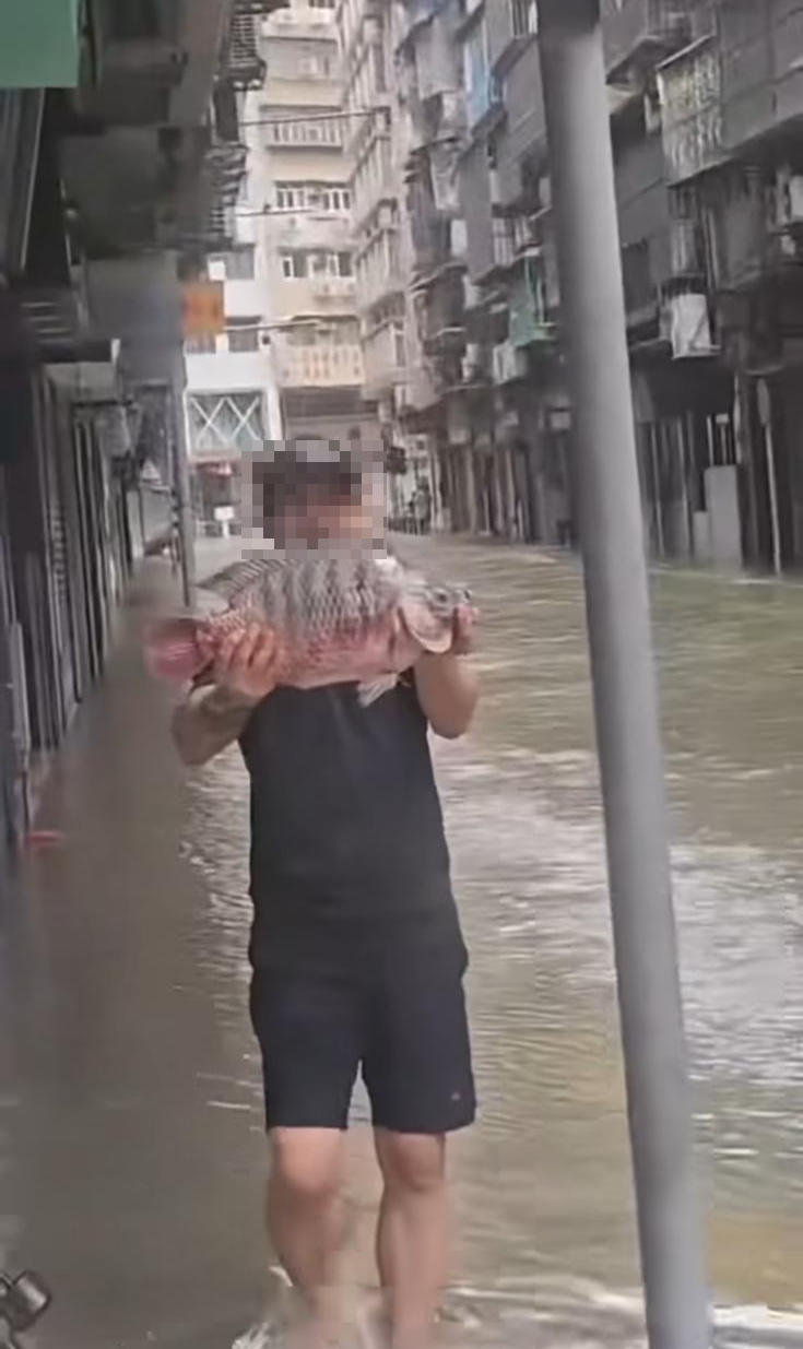 有人成功捉到魚!(susie_leong@Threads)