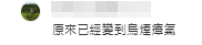 灣仔金紫荊廣場出現大量簡體字露天小販攤檔,售賣旅遊用品、八寶粥、飲品及紀念品,有遊客及網民形容感覺是「秒回國內」,仿如到了深圳東門夜市一樣,更有人形容雜亂場景「烏煙瘴氣」。(小紅書)