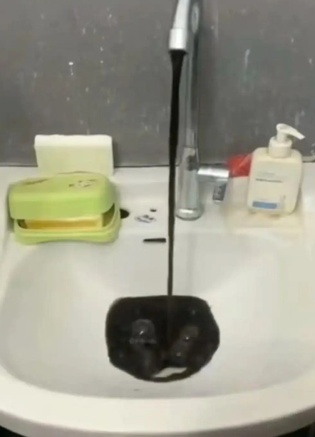 遼寧省瀋陽師範大學有大批學生出現嘔吐和腹瀉,網上流傳宿舍自來水污黑。(網上圖片)