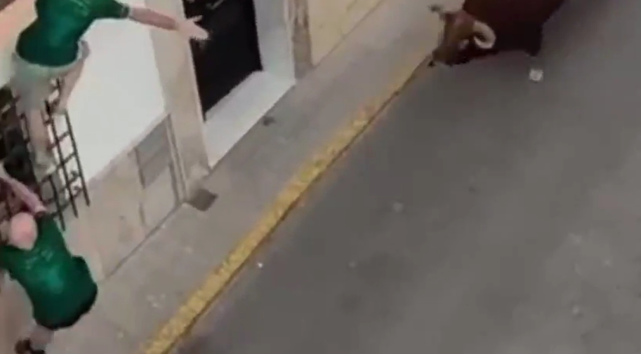 男子被公牛猛撞及扯下一刻。(互聯網)