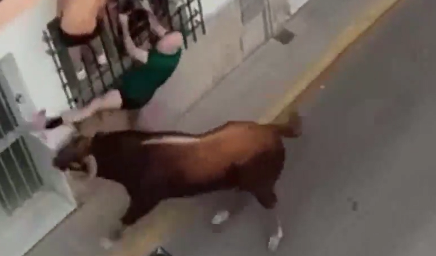 男子被公牛猛撞及扯下一刻。(互聯網)