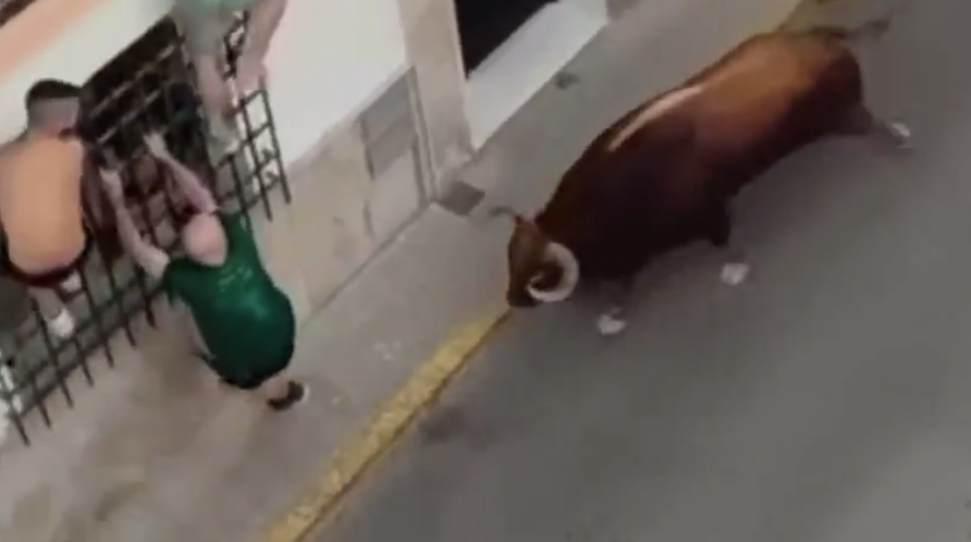 男子被公牛猛撞及扯下一刻。(互聯網)