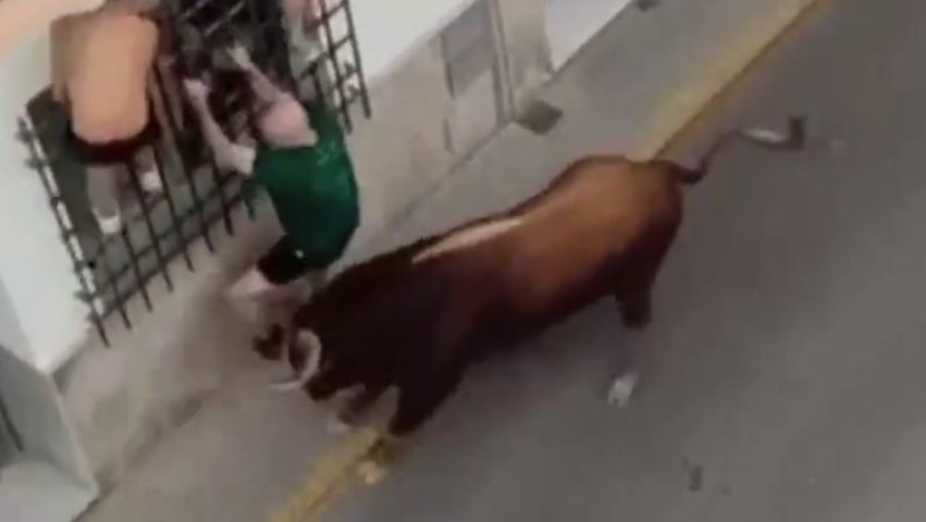 男子被公牛猛撞及扯下一刻。(互聯網)