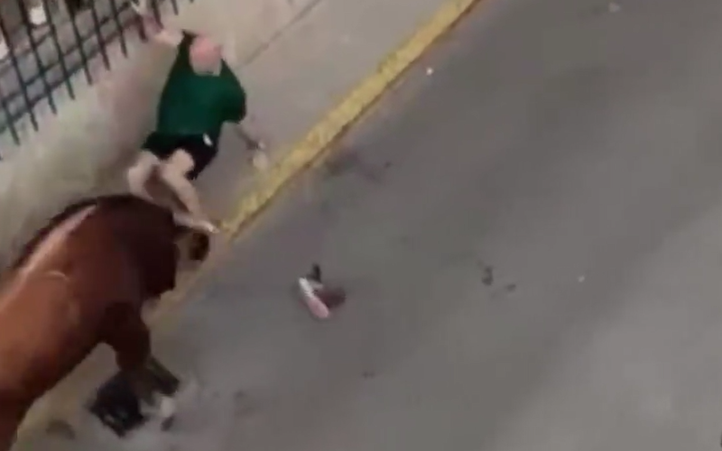 男子被公牛猛撞及扯下一刻。(互聯網)