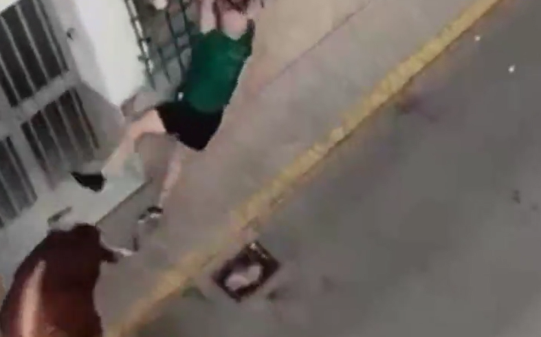 男子被公牛猛撞及扯下一刻。(互聯網)