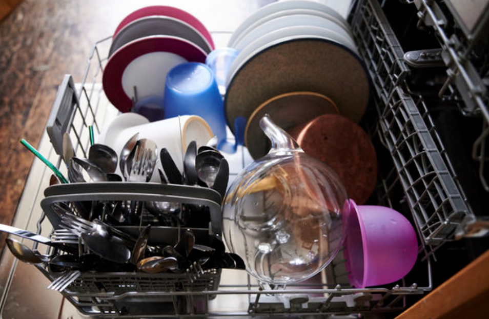 專家認為,美洲蟑螂擴散至東日本,可能與熱水洗碗機普及有關。(美聯社)