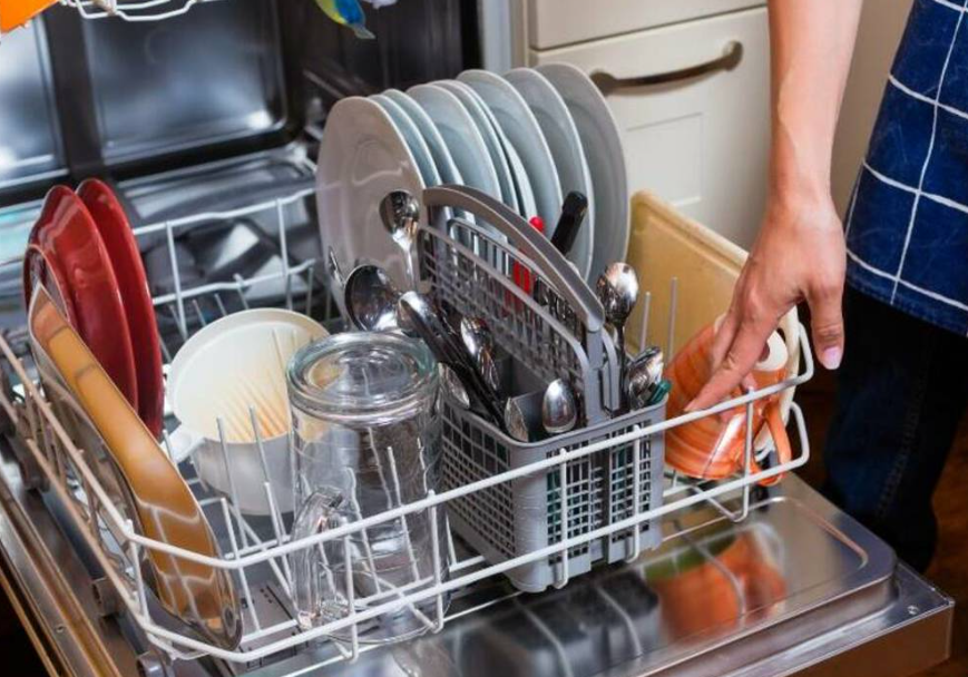 美洲蟑螂擴散至東日本,可能與熱水洗碗機普及有關。(網上圖片)