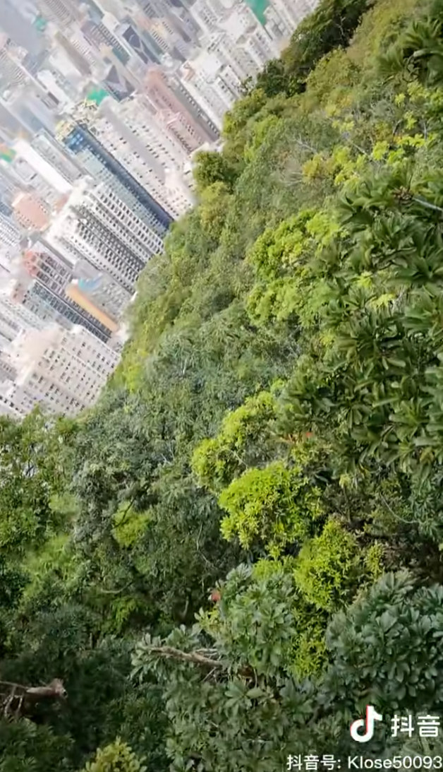 一名說普通話的女子與男伴於太平山頂期間,iPhone手機不慎掉落山下,報警求助後3警到場,1警用欄杆輔助從步道爬下去撿手機,步道上的警員向年輕女子及拍片同行男子指他們不應報警找警員幫忙撿手機(抖音影片)