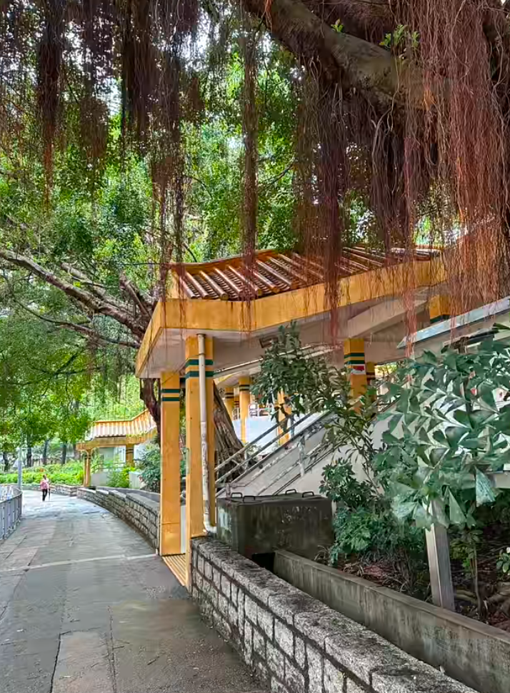 女網民分享獲派黃大仙下二邨龍泰樓的4人公屋單位,雖然讚地理位置不錯,不過卻因被派到一樓及窗外對住垃圾房,決定放棄,寧願等三派。(小紅書)