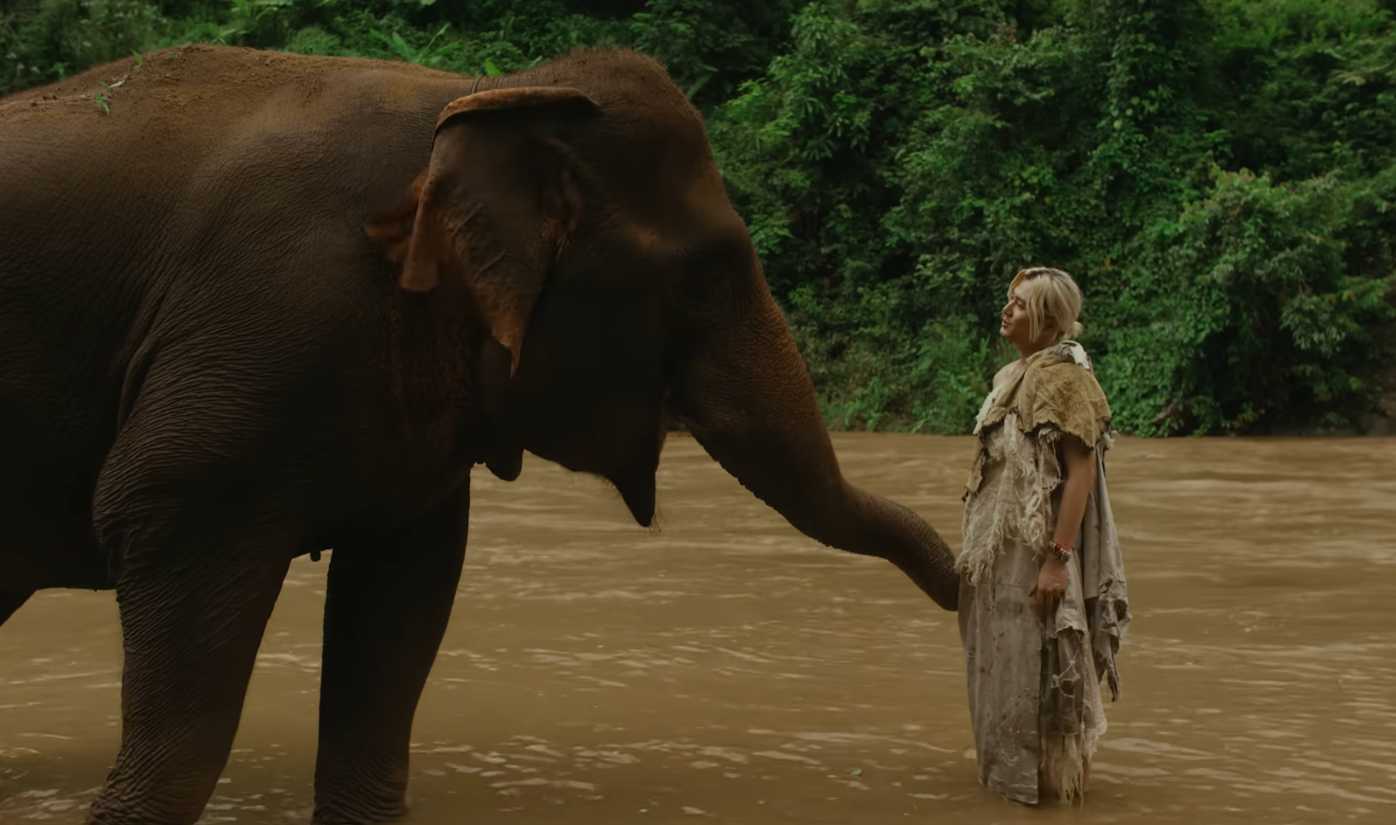 藤井風於泰國大象保護區與大象共度了一段時間,為MV增添溫暖和靈性。
