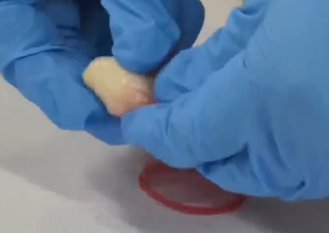 一名男子在肛門內塞入用安全套包裹的2克冰毒,經西九龍站過關時被查斷正。(內地海關)