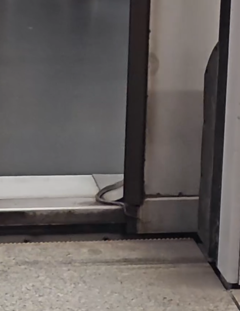 港鐵驚現蛇蹤(Threads影片截圖)