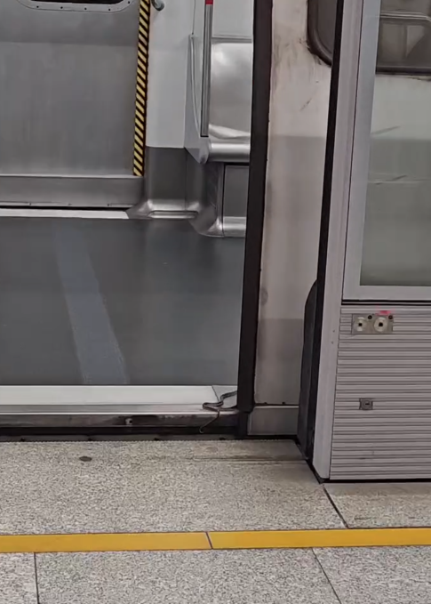 港鐵驚現蛇蹤(Threads影片截圖)