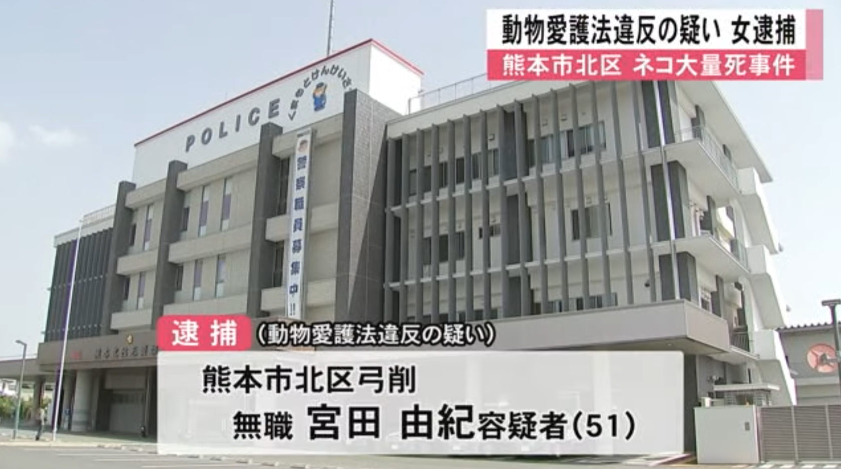 宮田自去年2月起至今年6月,在自己的家以志願方式,收容了100多隻貓,但她沒有好好照顧這些貓,不但環境衛生惡劣、臭氣沖天,四處都是糞便等排泄物,且未提供足夠的食物,導致有13隻貓因營養不良而死亡,她也涉嫌違反《動物福利法》被捕。