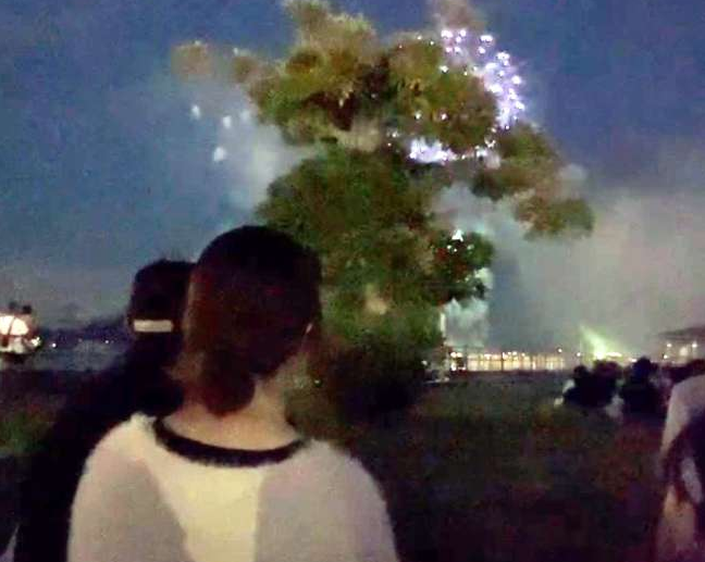 日本鹿兒島市一場煙花大會的售票坐位被大樹遮擋景觀。(網上圖片)