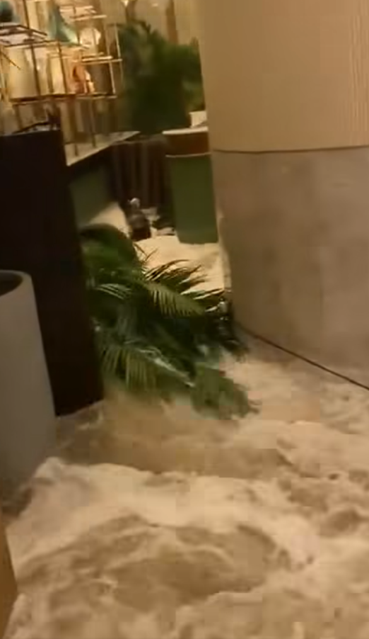 颱風樺加沙|香港富麗敦海洋公園酒店大門玻璃懷疑遭風吹爆,大量潮水湧入室內。(影片截圖)