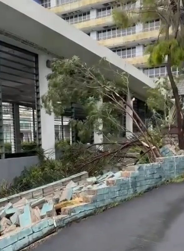 位於九龍塘的喇沙小學,一幅在斜路上的約10米長、高2米圍牆倒塌,磚塊散落一地(alicechanlaiming@threads)