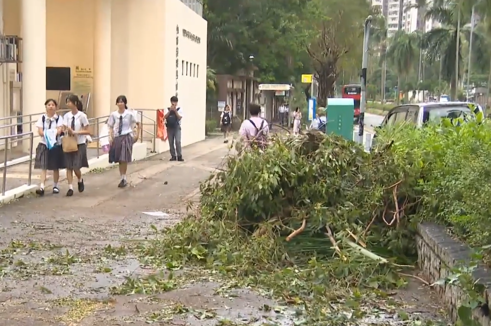 颱風樺加沙|多間中小學因為校舍損毀繼續停課清理及復修,亦有學校如常復課。(有線新聞畫面)