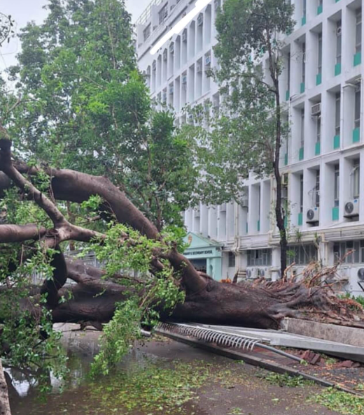 颱風樺加沙|多間中小學因為校舍損毀繼續停課清理及復修。(Threads)