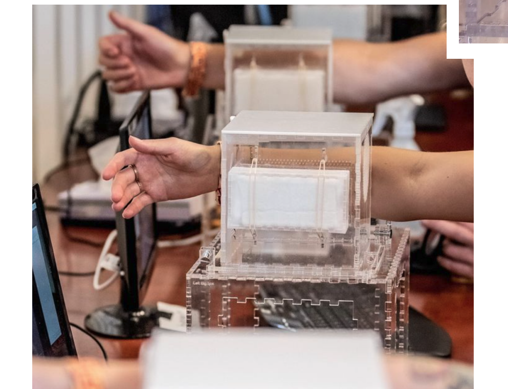 有研究實測發現,愛飲啤酒的人較惹蚊。(互聯網)