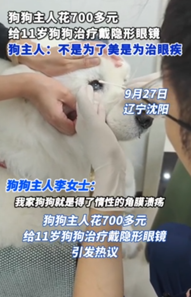 近日內地一名女子花700元人民幣給狗狗配戴隱形眼鏡引起網路熱議。據狗主人李女士表示,狗狗患上惰性角膜潰瘍,術後配戴的隱形眼鏡是醫用角膜保護鏡,並非為美觀,而是為了給狗狗治病。