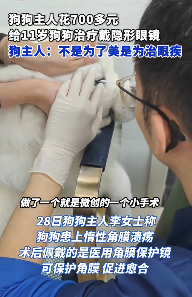 近日內地一名女子花700元人民幣給狗狗配戴隱形眼鏡引起網路熱議。據狗主人李女士表示,狗狗患上惰性角膜潰瘍,術後配戴的隱形眼鏡是醫用角膜保護鏡,並非為美觀,而是為了給狗狗治病。