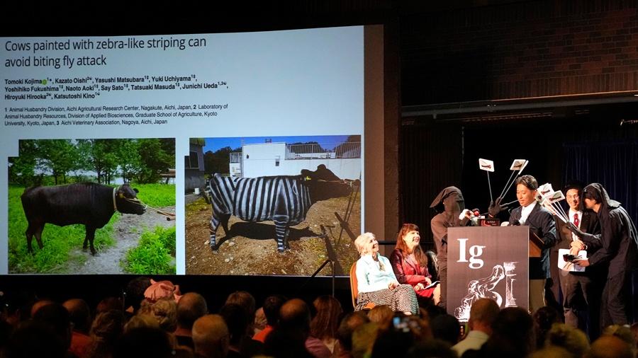 將黑白條紋噴塗在牛身上,能有效減少高達50%的馬蠅叮咬機率。(X)