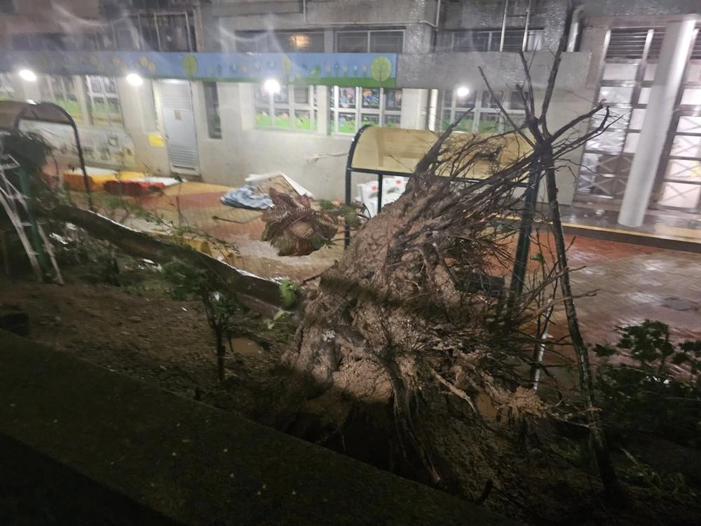 多處發生塌樹事故。(FB/何文田街坊)