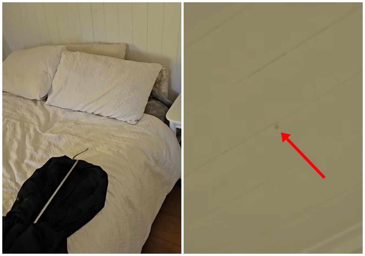 躺床上被天花液體滴面,揭開驚見3巨蟒痾尿。(FB)