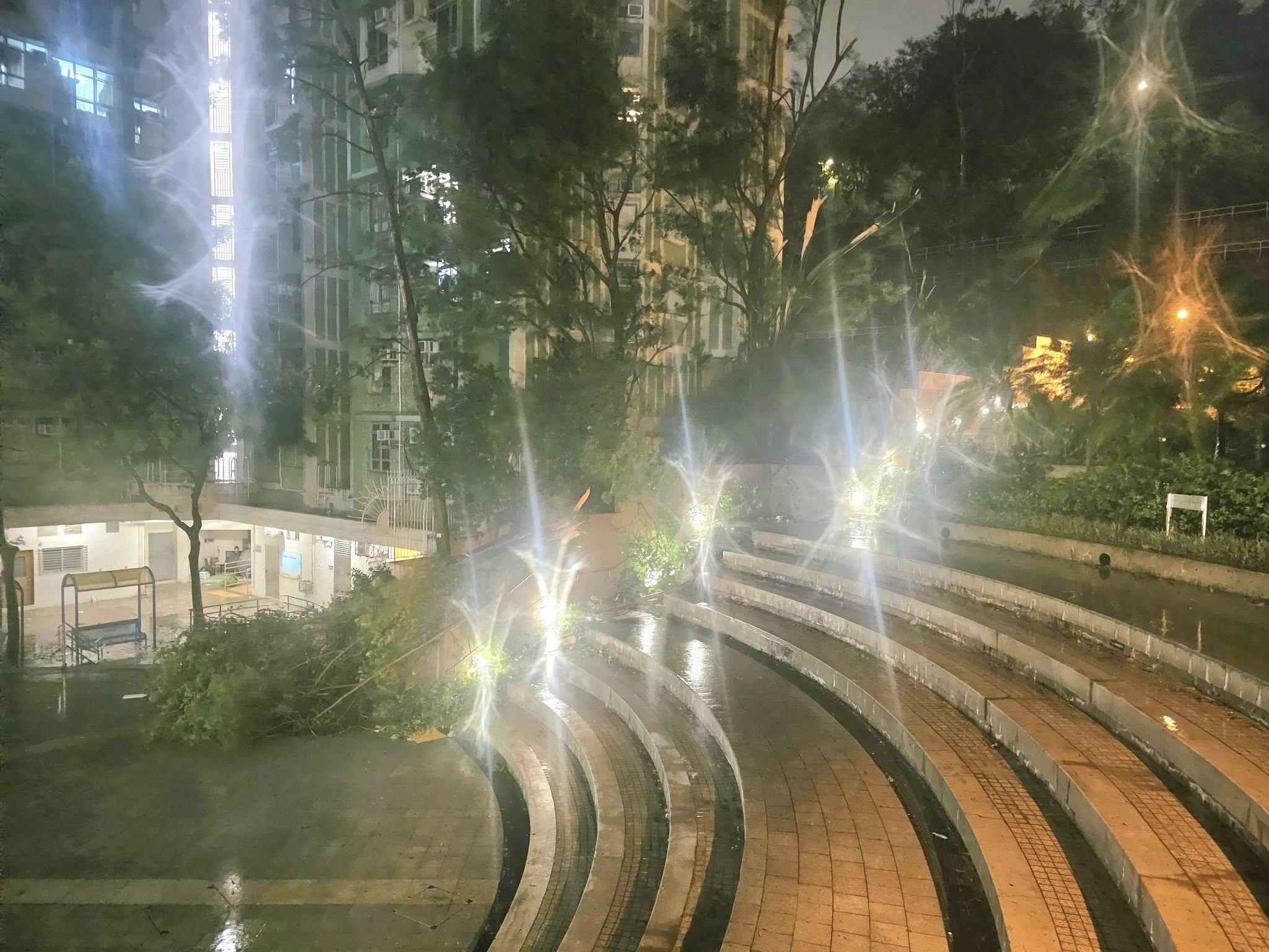 多處發生塌樹事故。(FB/何文田街坊)