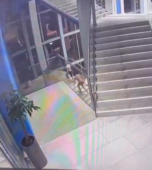 樂園空無一人,如包場專屬這父子的時光。(X)