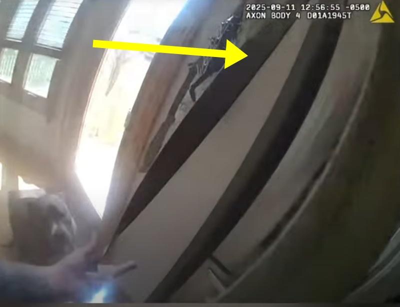 Michael立即意會,不禁稱讚牠:「你是乖仔」(You are good boy)。(FB)