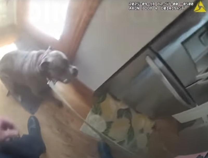 待牽引繩一扣好,一人一狗隨即迅速逃離火場。(FB)