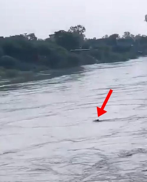 男子被強勁水流愈沖愈遠,最後消失無蹤。(X)