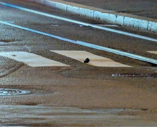 一枚手榴彈在街頭爆炸,另一枚則由警方引爆。(X)