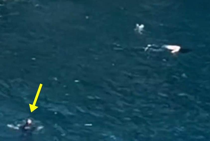 楊先生:當時那種情況下,只想著救人第一。(微博)