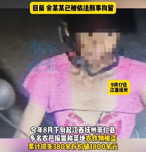民警指,疑犯作案時身穿與身形容貌嚴重不符的「女性服裝」,懷疑其通過變裝企圖逃避偵查。(微博)