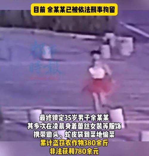 民警指,疑犯多次在凌晨身著蕾絲女裝等服飾,攜帶鋤頭、蛇皮袋到菜地偷菜。(微博)