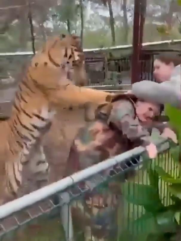 現場職員立即上前撥開虎爪,協助Mora平安脫險。(X)