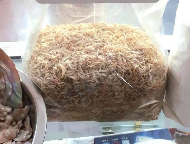 人指甲在《本草綱目》中又叫「筋退」。(網上圖片)