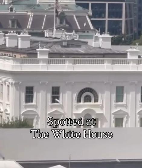 白宮:是例行維護時丟棄的建築廢料。(X)