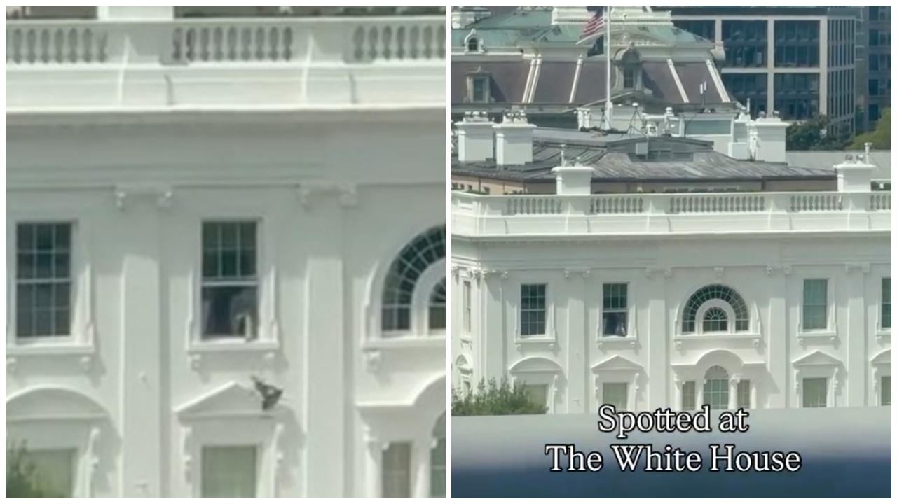 白宮2樓丟出不明物,影片瘋傳網民狂揣測。(X)