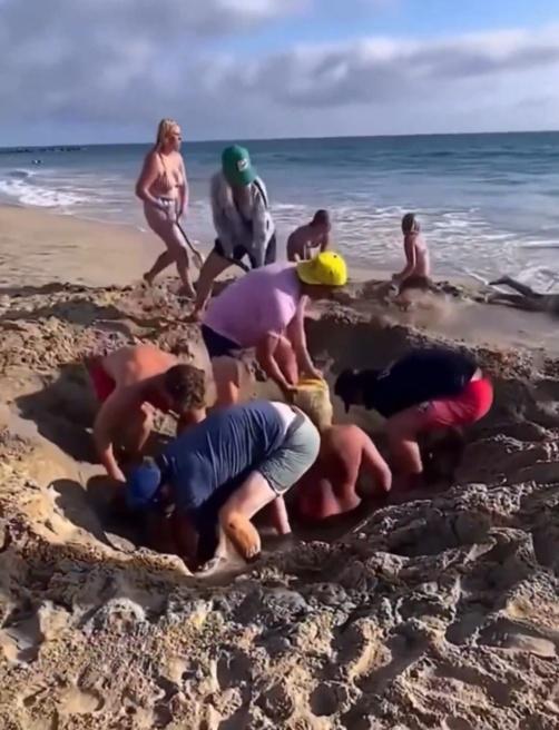 有人拼命挖沙,有人將沙坑的水倒出去,亦有人將旁邊的沙堆成沙牆,阻擋海水繼續湧入沙坑。(X)