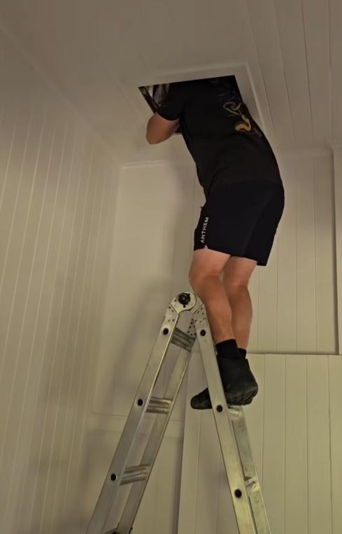 Stu隨後使用梯子打開天花板,發現閣樓內藏有3條巨大的地毯蟒蛇。(FB)