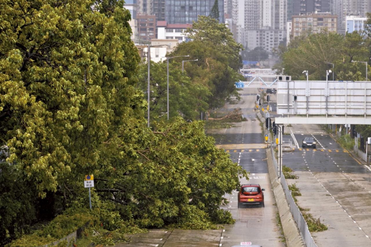 颱風樺加沙 九龍塘 窩打老道